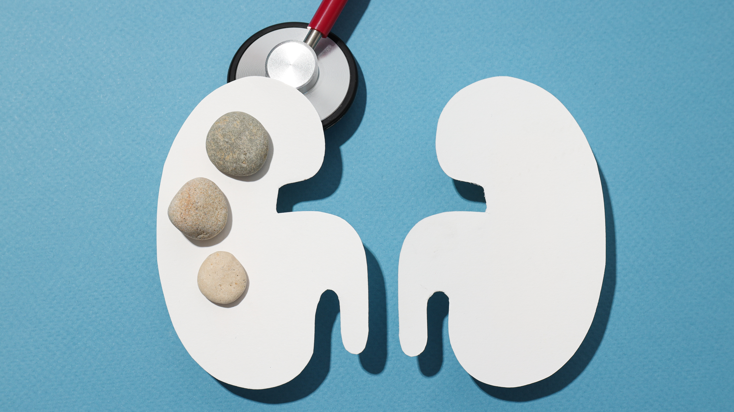 Nephrologist in Lucknow